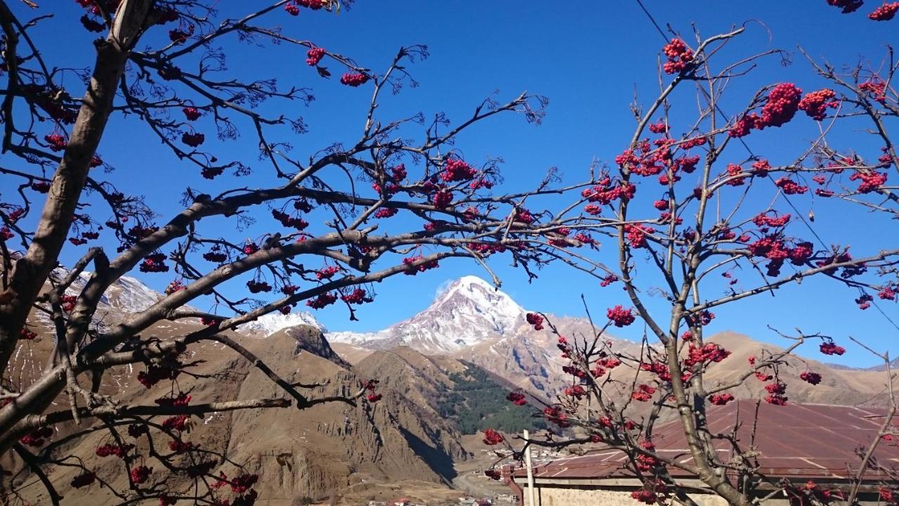 Guest House Tamta Kazbegi Exterior foto